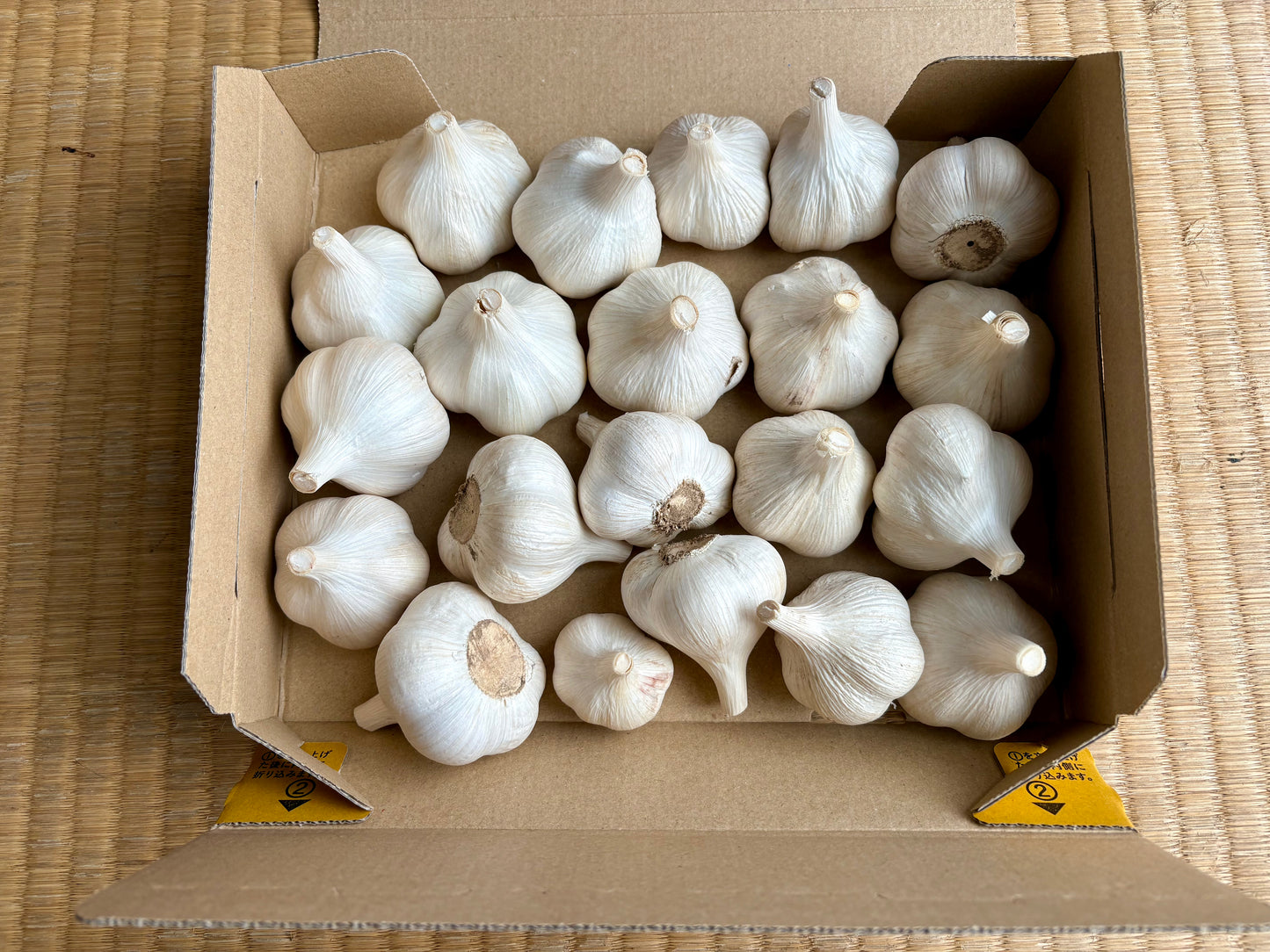 福地ホワイト六片にんにく　1kg