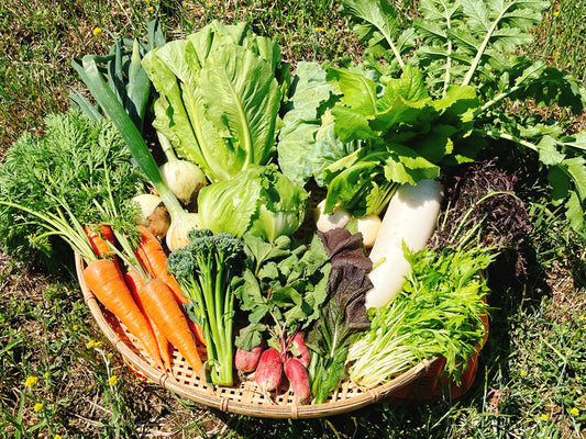 季節のお野菜定期便・Sセット（6品目前後）