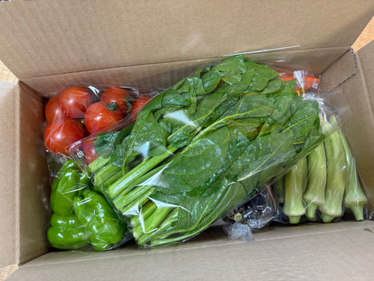 季節のお野菜定期便・Rセット（8~10品目前後）
